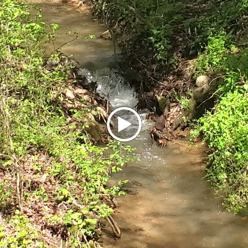 Zoo «North Georgia Zoo & Farm», reviews and photos, 2912 Paradise Valley Rd, Cleveland, GA 30528, USA