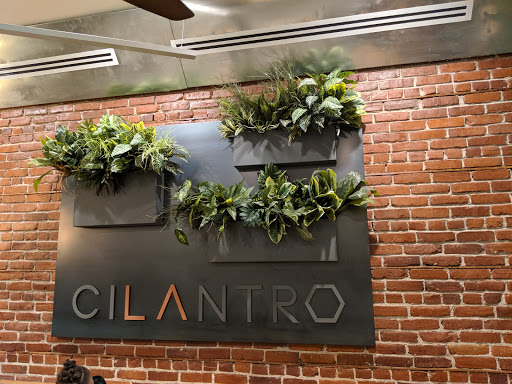 Cocina Cilantro image
