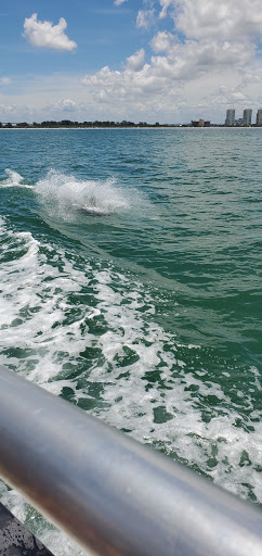 Boat Rental Service «MEGA BITE Tour Boat», reviews and photos, 25 Causeway Blvd, Clearwater Beach, FL 33767, USA