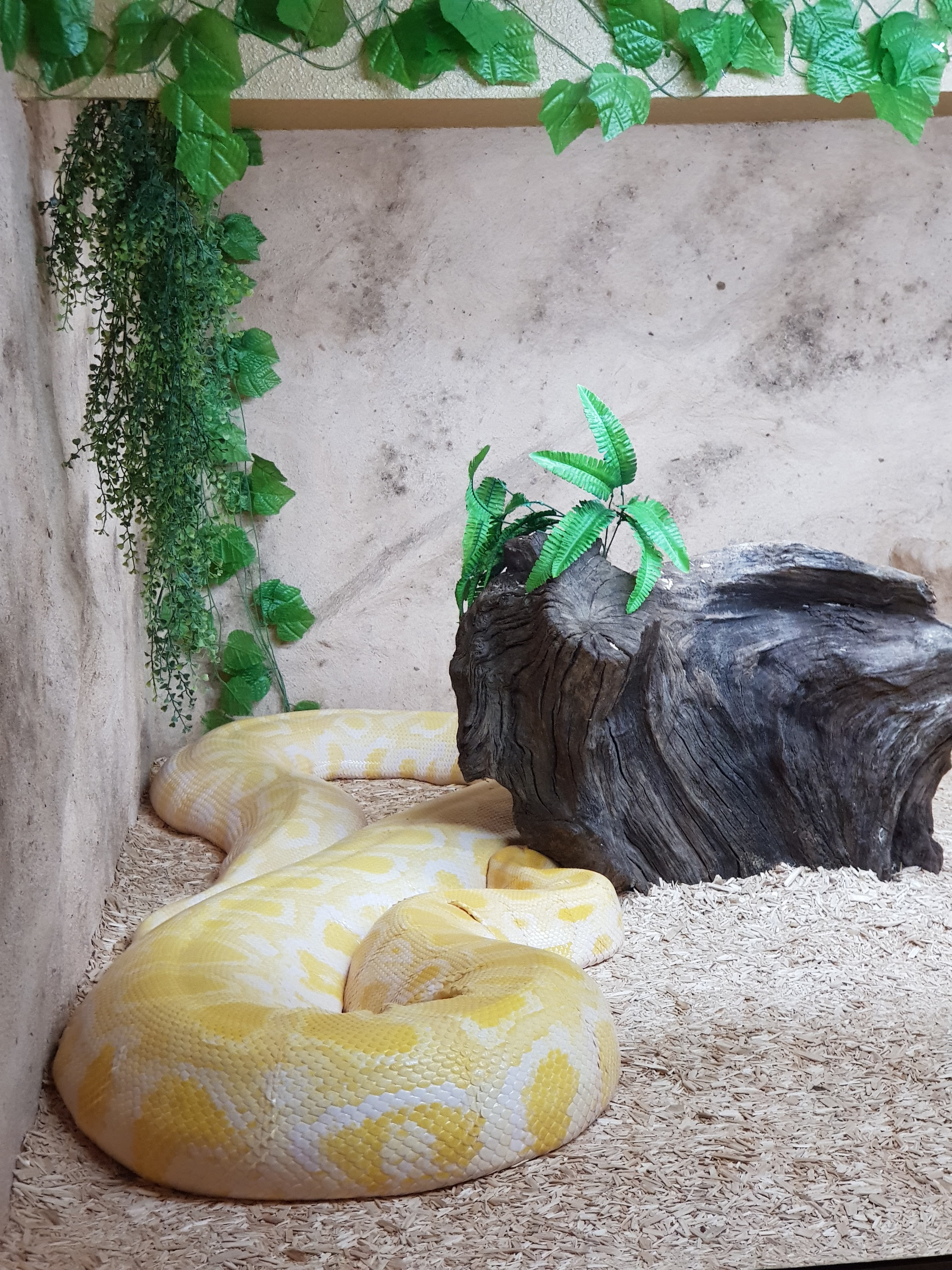 Photo n° 2 de l'avis de Jessica.a fait le 29/07/2021 à 18:12