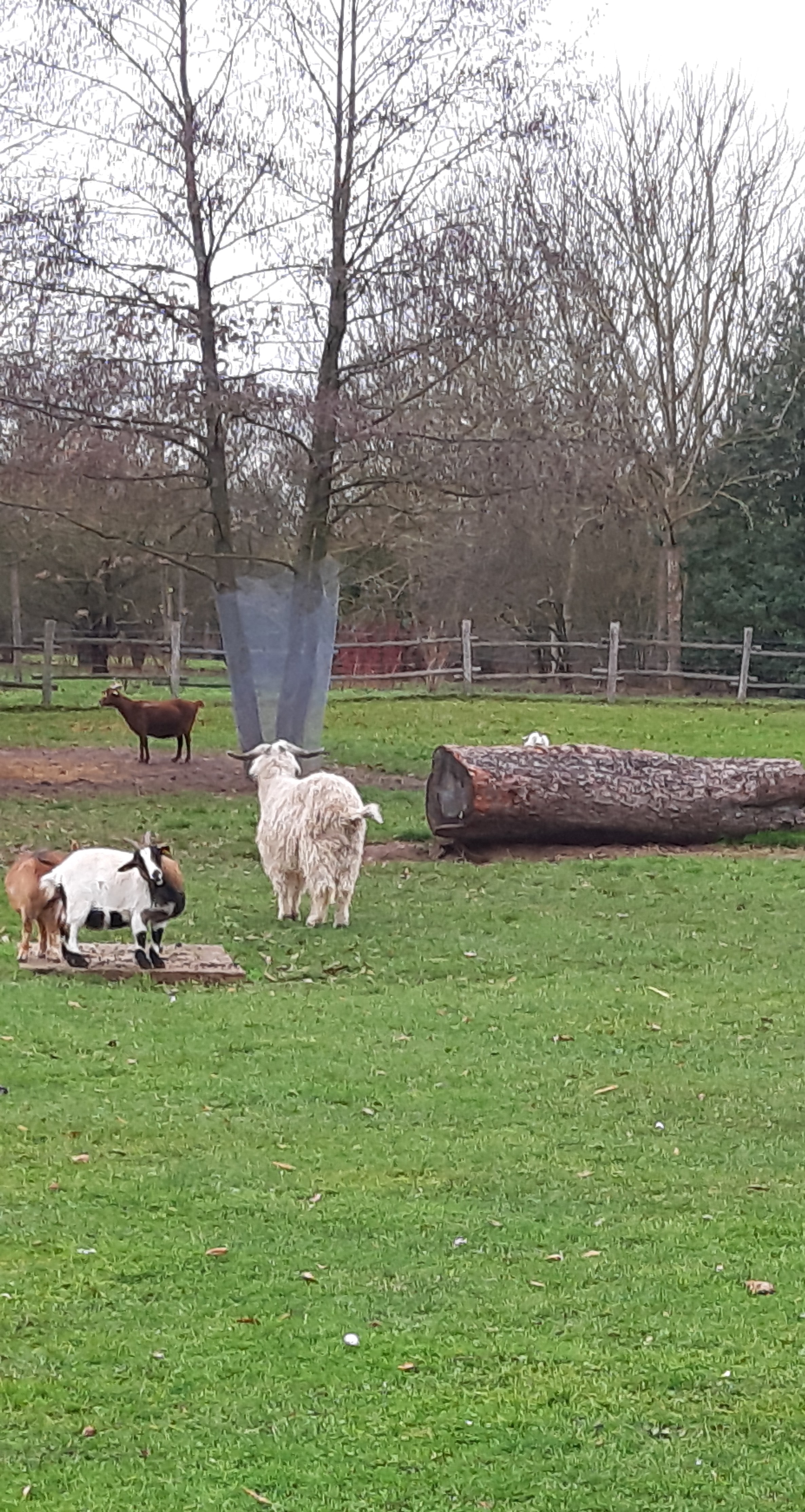Photo n° 48 de l'avis de betty.o fait le 10/12/2019 à 11:19