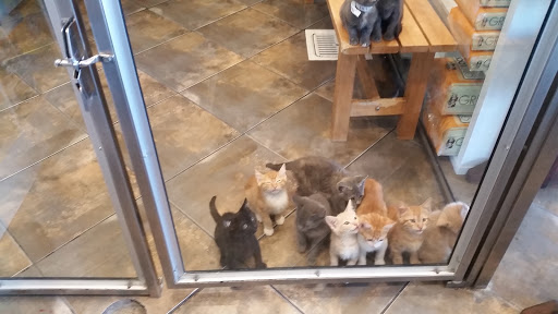 Pet Adoption Service «Found Animals Adopt & Shop», reviews and photos, 353 Lakewood Center Mall, Lakewood, CA 90712, USA