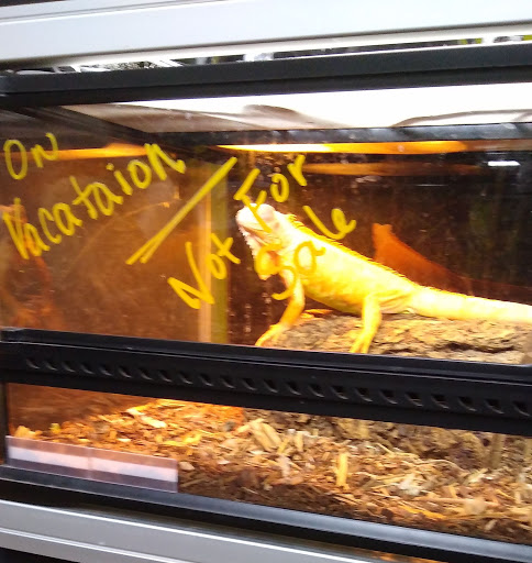 Pet Supply Store «Petco Animal Supplies», reviews and photos, 3264 Buford Dr NE #110, Buford, GA 30519, USA