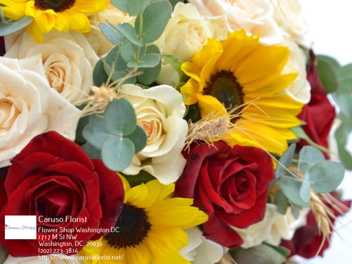 Florist «Caruso Florist», reviews and photos, 1717 M St NW, Washington, DC 20036, USA
