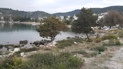 Zeytinli Beach II'in fotoğrafı uçurumlarla desteklenmiş