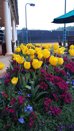 Country Club «Houston Country Club», reviews and photos, 1 Potomac Dr, Houston, TX 77057, USA