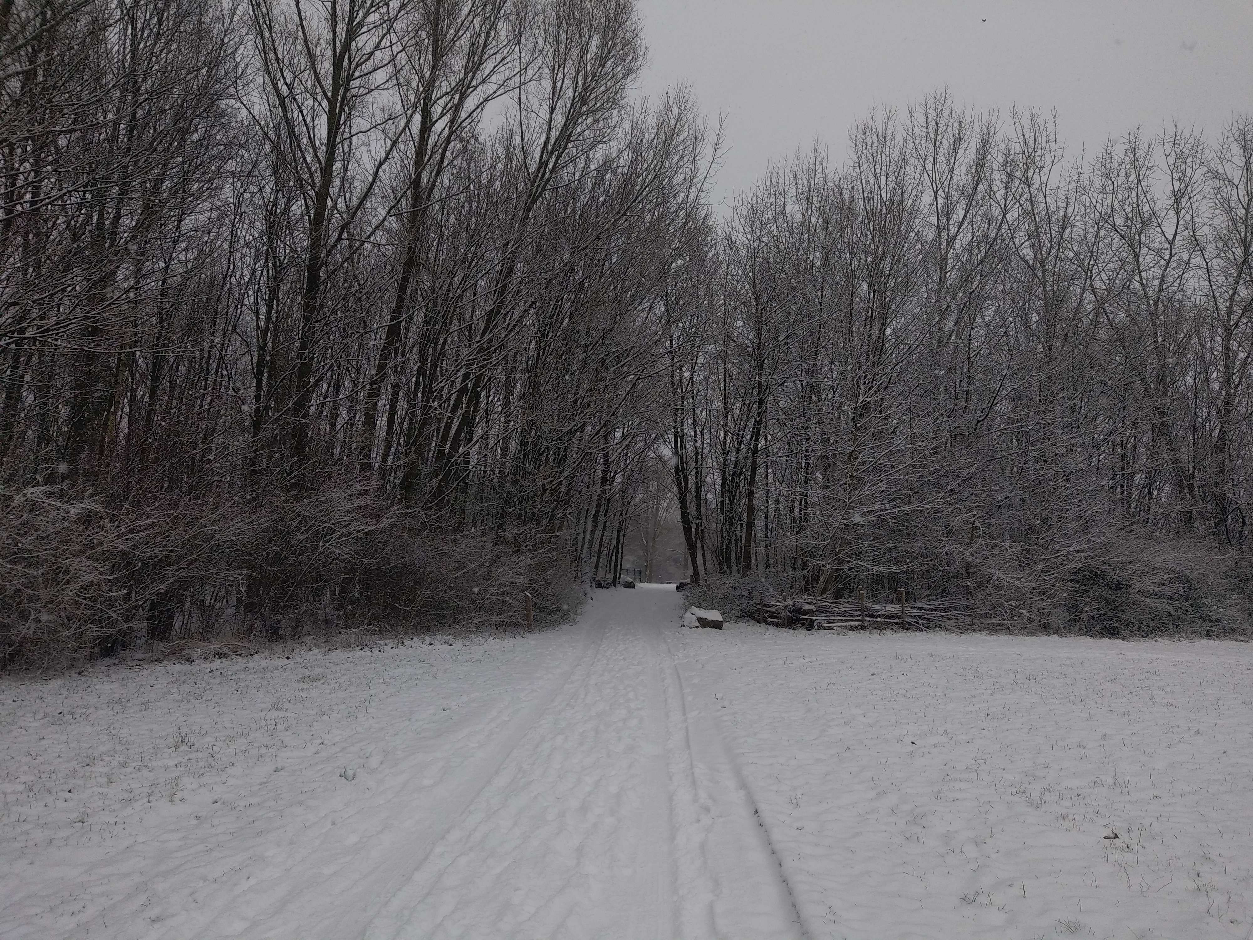 Photo n° 2 de l'avis de Perrine.e fait le 17/01/2024 à 17:53