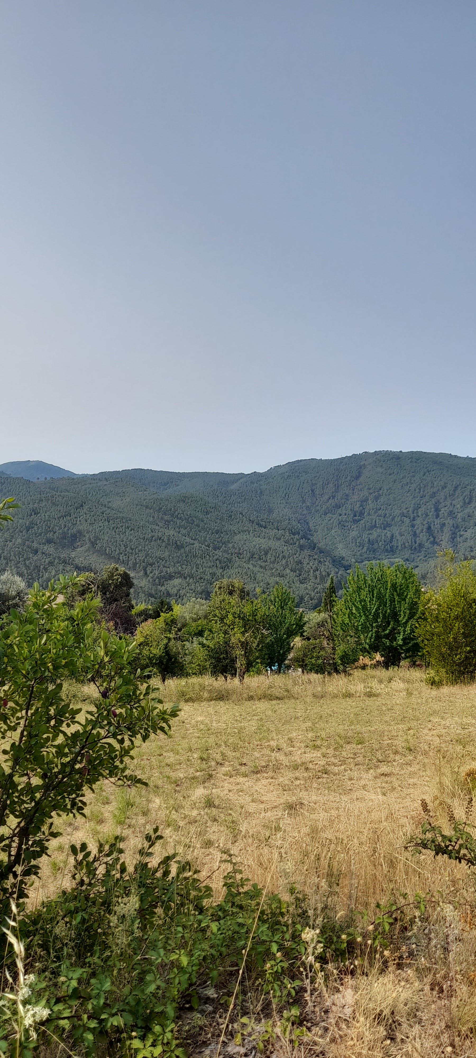 Photo n° 4 de l'avis de Jérôme.e fait le 27/07/2023 à 15:58