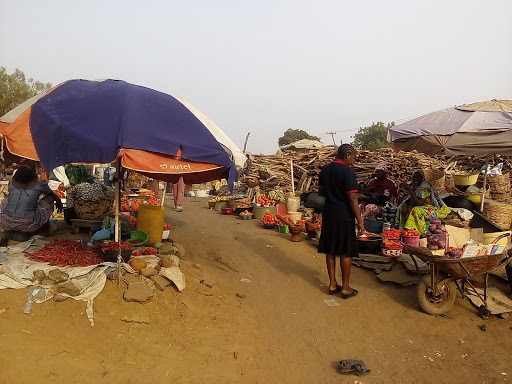 SCIENCE EQUIPMENT & DEVELOPMENT INSTITUTE, Minna, Nigeria, Market, state Niger