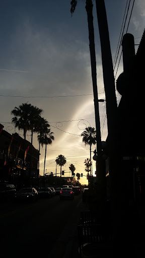 Wine Bar «Ybor City Wine Bar», reviews and photos, 1600 E 7th Ave, Tampa, FL 33605, USA