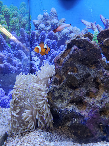 Pet Supply Store «Petco Animal Supplies», reviews and photos, 2140 E Blvd St, Kokomo, IN 46902, USA