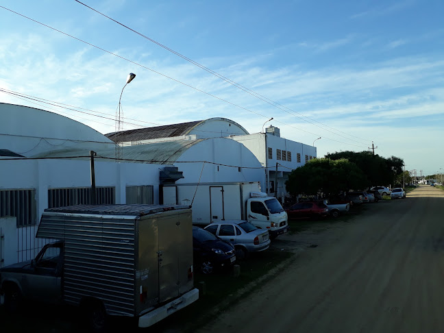 Planta industrial "Picorell" - Punta del Este