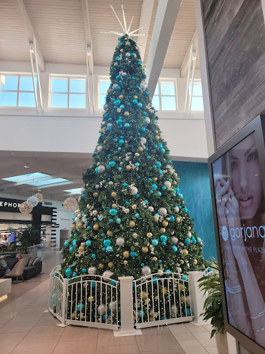 Apple Manhattan Village image