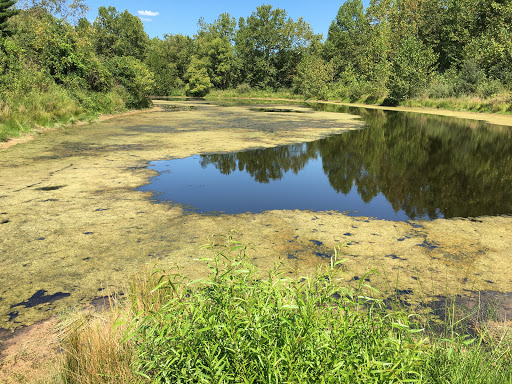 Golf Course «Elm Golf Course», reviews and photos, 3670 Ladd Ridge Rd, Athens, OH 45701, USA