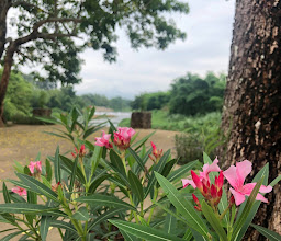 บ้านสาริกา photo