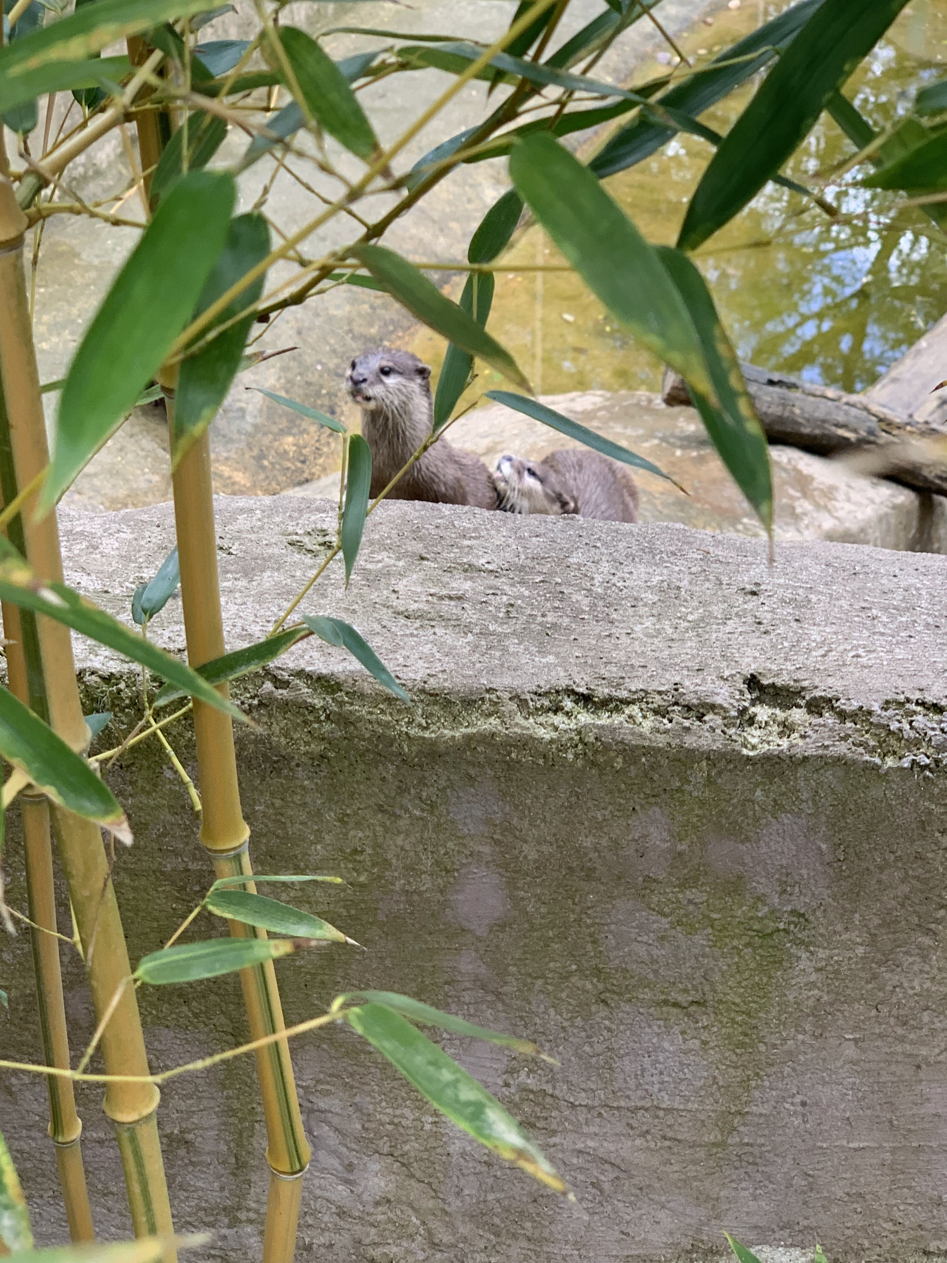 Photo n° 2 de l'avis de Angie. fait le 15/05/2019 à 11:27