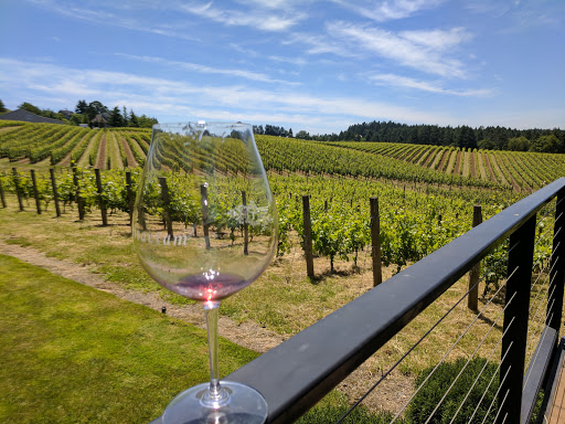 Winery «Trisaetum Winery», reviews and photos, 18401 NE Ribbon Ridge Rd, Newberg, OR 97132, USA