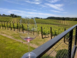 Trisaetum Winery - photo 59