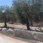 Photo n°3 de l'avis de Angelo.a fait le 21/06/2022 à 07:20 sur le  Agriturismo Masseria Alberotanza B&B e Ristorante à Conversano