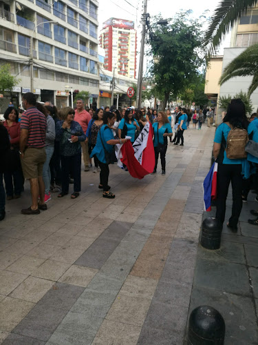 Corporacion Cultural Orquesta Sinfonica - Viña del Mar