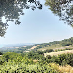 Photo n°1 de l'avis de Alessandra.a fait le 24/08/2022 à 12:18 sur le  Bar Trattoria Rosso Conero à Sirolo