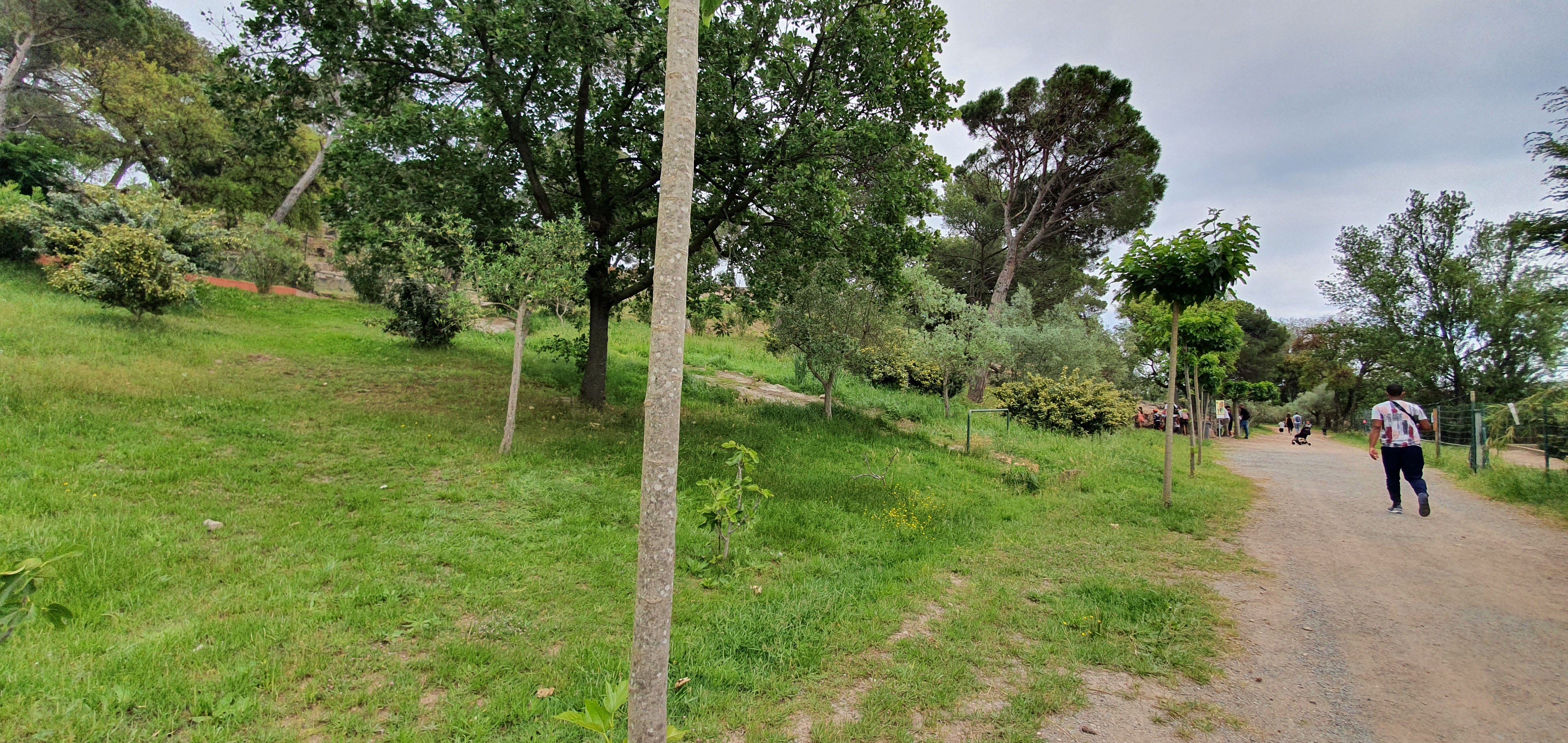 Photo n° 41 de l'avis de Fadella.R fait le 30/05/2021 à 19:03