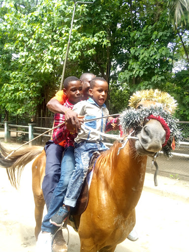 Susan Brown Foundation (Youth Development & Orphanages in Port Harcourt), 47 Collins Owhondah Dr, Eagle Island, Port Harcourt, Nigeria, City Government Office, state Rivers