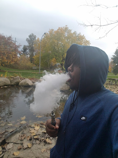 E-commerce Service «Smoke Shop», reviews and photos, 3363 Auburn Rd, Auburn Hills, MI 48326, USA