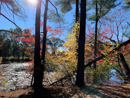 Park «Russell Mill Pond and Town Forest», reviews and photos, 105 Mill Rd, Chelmsford, MA 01824, USA