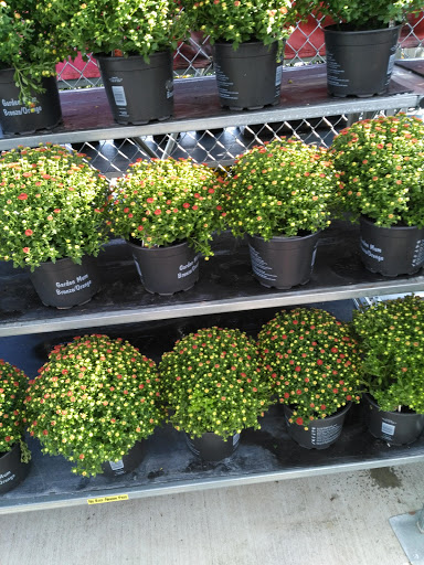 Discount Store «Walmart», reviews and photos, 701 W Princeton Dr, Princeton, TX 75407, USA