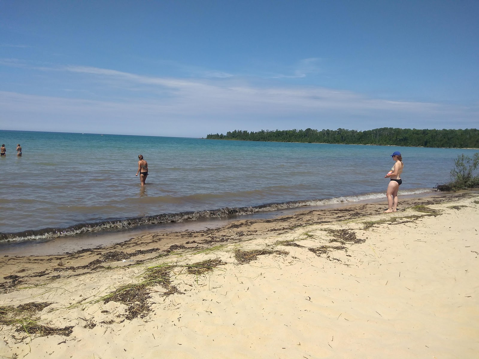 Φωτογραφία του Mackinaw Beach άγρια περιοχή