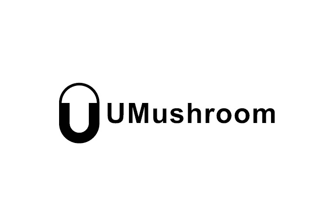 Rezensionen über UMUshroom in Zürich - Zimmermann