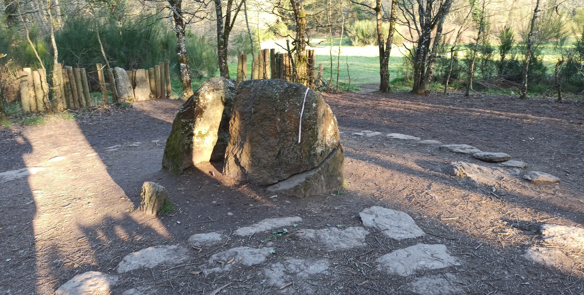 Photo n° 1 de l'avis de N.u fait le 28/02/2021 à 17:21