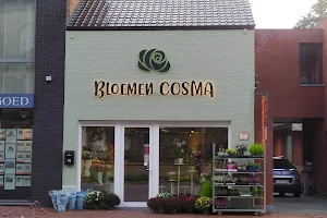 Bloemen Cosma image