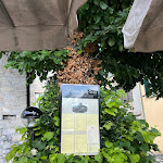 Photo n°2 de l'avis de ORBIS.r fait le 04/07/2023 à 13:25 sur le  L'antica Riva à Como