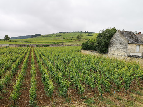 La Maison des Rugiens à Pommard