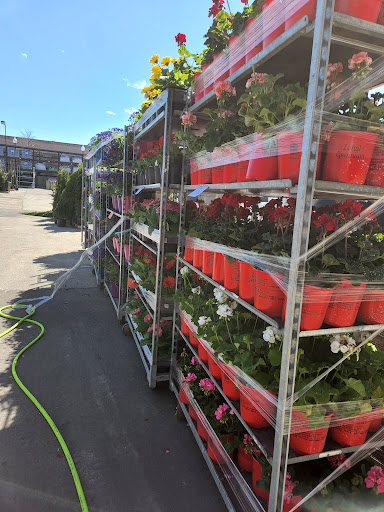 Home Improvement Store «Menards», reviews and photos, 2101 Miller Park Way, West Milwaukee, WI 53219, USA