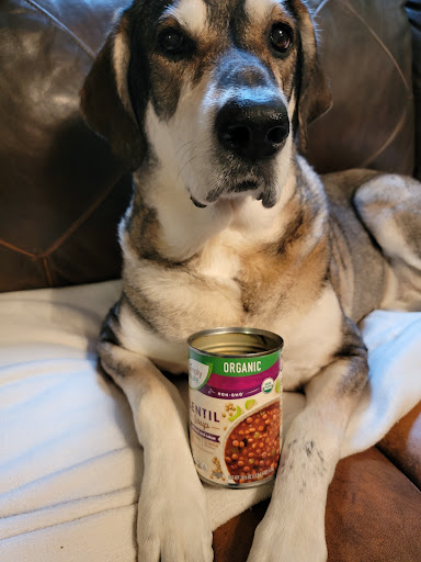 Supermarket «ALDI», reviews and photos, 1940 E Dorothy Ln, Kettering, OH 45420, USA