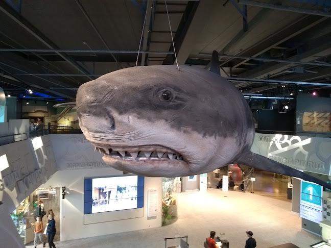 New Plymouth isite Visitor Information Centre