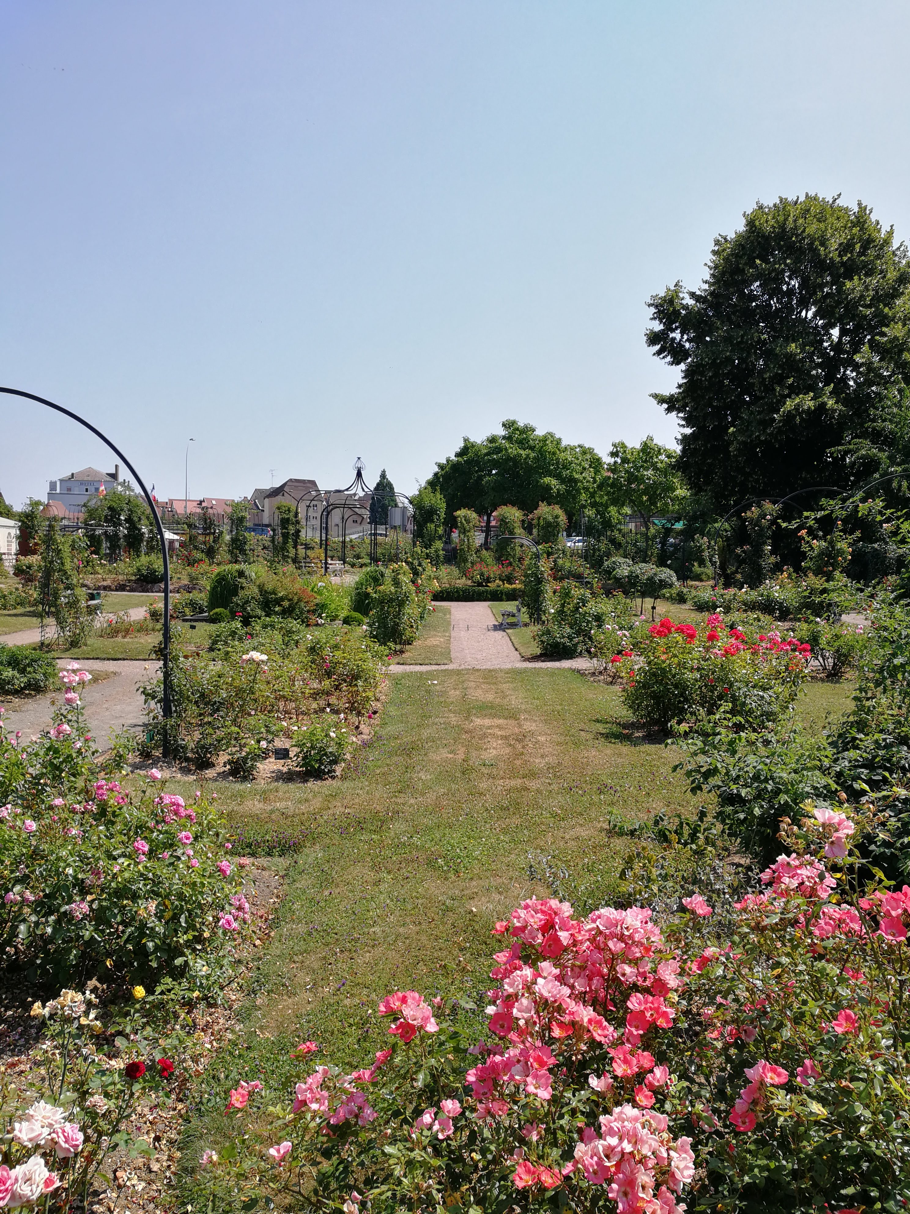 Photo n° 6 de l'avis de Olivier.e fait le 17/07/2018 à 16:04