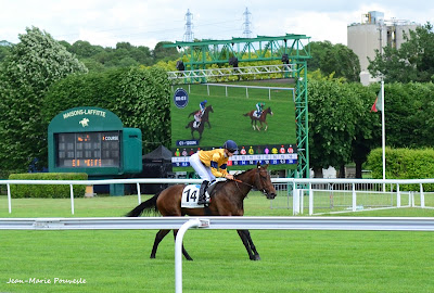 Hippodrome de Maisons-Laffitte à Maisons-Laffitte