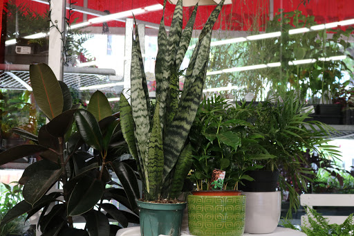 Hardware Store «Woodley Park Ace Hardware», reviews and photos, 2616 Connecticut Ave NW, Washington, DC 20008, USA