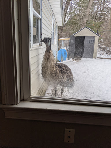 Animal Shelter «Animal Adventures Family Zoo & Rescue Center», reviews and photos, 336 Sugar Rd, Bolton, MA 01740, USA