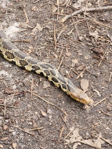 Nature Preserve «Crosby Farm Regional Park», reviews and photos, 2595 Crosby Farm Rd, St Paul, MN 55116, USA