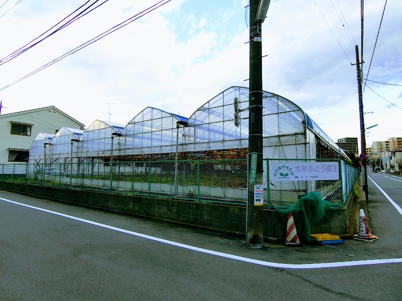 大平ぶどう園Ⅱ