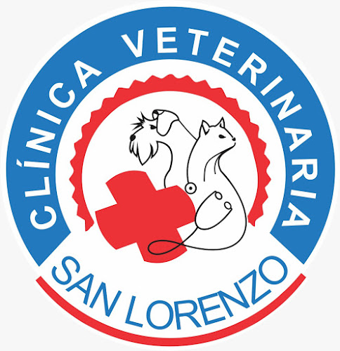 Clinica Veterinaria San Lorenzo - Veterinario