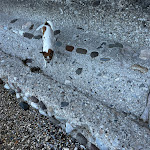 Photo n°6 de l'avis de Joanna.a fait le 16/09/2022 à 19:13 sur le  La Speranzina Restaurant & Relais à Sirmione