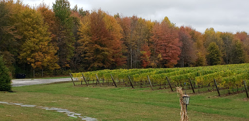Vineyard «Laurentia Vineyard & Winery», reviews and photos, 4599 S Madison Rd, Madison, OH 44057, USA