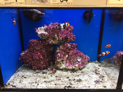 Pet Supply Store «Petco Animal Supplies», reviews and photos, 415 E University Dr, Granger, IN 46530, USA