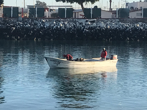 Pier 32 Marina image